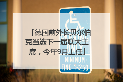 德国前外长贝尔伯克当选下一届联大主席，今年9月上任