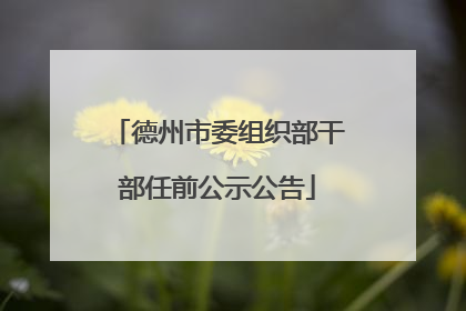 德州市委组织部干部任前公示公告