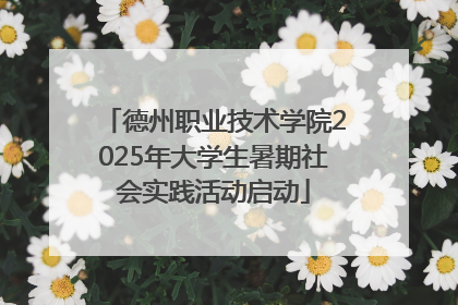 德州职业技术学院2025年大学生暑期社会实践活动启动