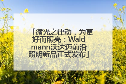 循光之律动，为更好而照亮：Waldmann沃达迈前沿照明新品正式发布