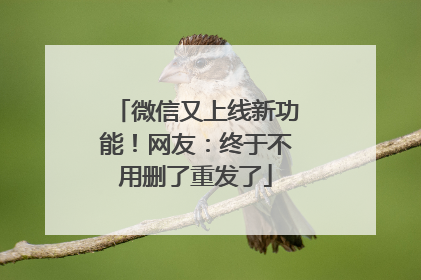 微信又上线新功能！网友：终于不用删了重发了