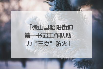 微山县昭阳街道第一书记工作队助力“三夏”防火