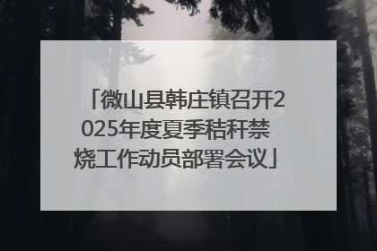 微山县韩庄镇召开2025年度夏季秸秆禁烧工作动员部署会议