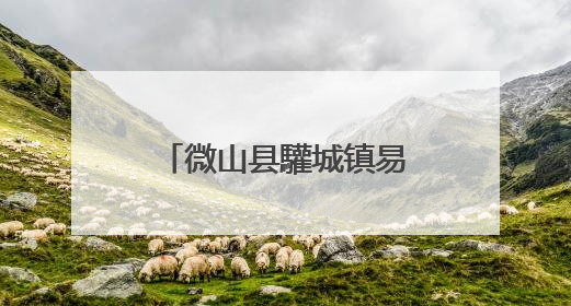 微山县驩城镇易兰达项目开启工业倍增新引擎