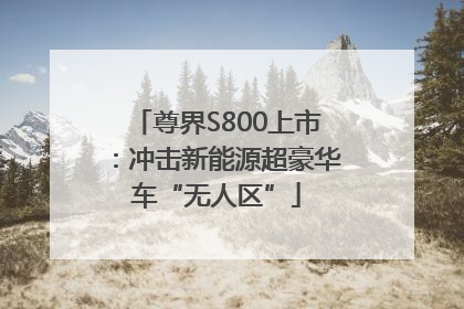 尊界S800上市：冲击新能源超豪华车“无人区”