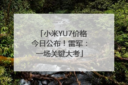 小米YU7价格今日公布！雷军：一场关键大考
