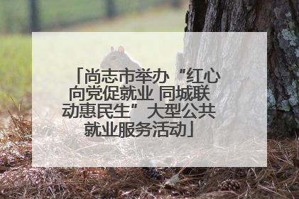 尚志市举办“红心向党促就业 同城联动惠民生”大型公共就业服务活动