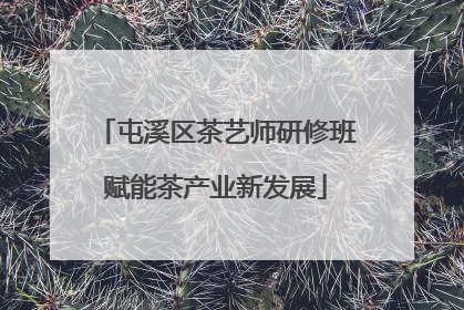 屯溪区茶艺师研修班赋能茶产业新发展