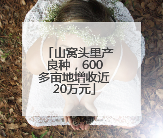 山窝头里产良种，600多亩地增收近20万元