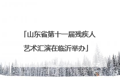 山东省第十一届残疾人艺术汇演在临沂举办