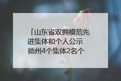 山东省双拥模范先进集体和个人公示 德州4个集体2名个人拟受表彰