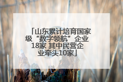山东累计培育国家级“数字领航”企业18家 其中民营企业牵头10家