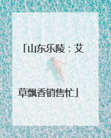 山东乐陵：艾草飘香销售忙