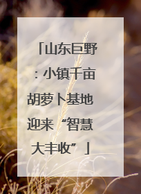山东巨野：小镇千亩胡萝卜基地迎来“智慧大丰收”