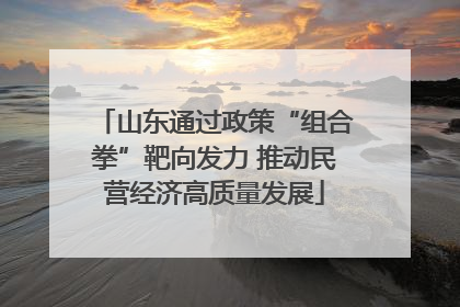 山东通过政策“组合拳”靶向发力 推动民营经济高质量发展
