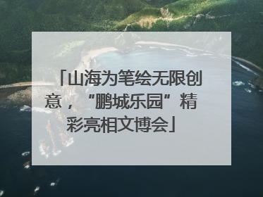 山海为笔绘无限创意，“鹏城乐园”精彩亮相文博会