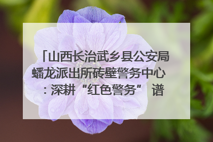 山西长治武乡县公安局蟠龙派出所砖壁警务中心：深耕“红色警务” 谱写“平安答卷”
