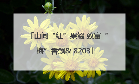 山间“红”果缀 致富“梅”香飘& 8203