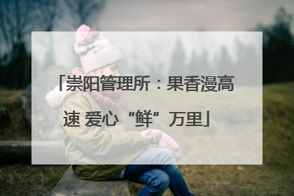 崇阳管理所：果香漫高速 爱心“鲜”万里