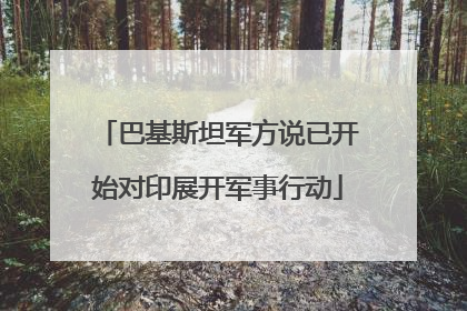 巴基斯坦军方说已开始对印展开军事行动