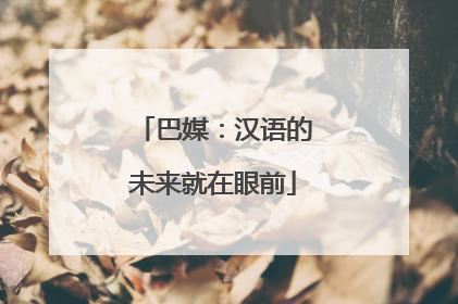 巴媒：汉语的未来就在眼前