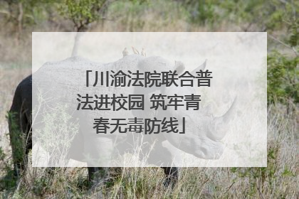 川渝法院联合普法进校园 筑牢青春无毒防线