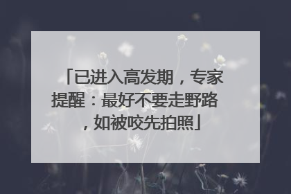 已进入高发期，专家提醒：最好不要走野路，如被咬先拍照