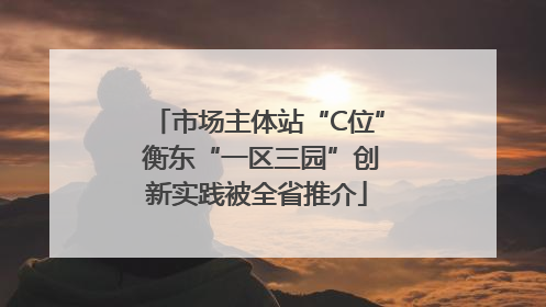 市场主体站“C位” 衡东“一区三园”创新实践被全省推介
