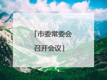 市委常委会召开会议