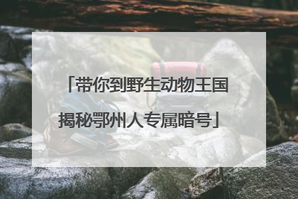 带你到野生动物王国揭秘鄂州人专属暗号