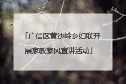 广信区黄沙岭乡妇联开展家教家风宣讲活动