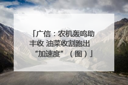 广信：农机轰鸣助丰收 油菜收割跑出“加速度”（图）