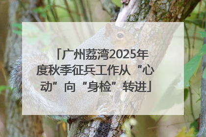 广州荔湾2025年度秋季征兵工作从“心动”向“身检”转进
