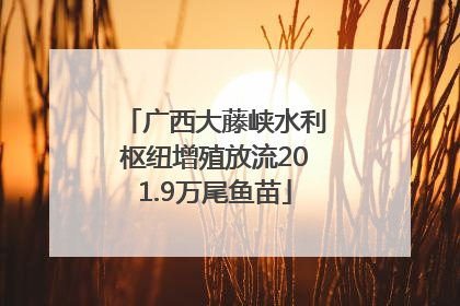 广西大藤峡水利枢纽增殖放流201.9万尾鱼苗