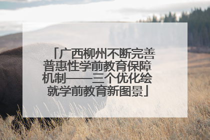 广西柳州不断完善普惠性学前教育保障机制——三个优化绘就学前教育新图景