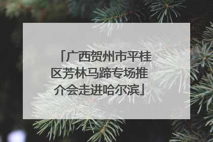 广西贺州市平桂区芳林马蹄专场推介会走进哈尔滨