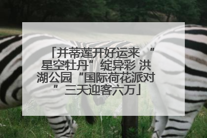 并蒂莲开好运来 “星空牡丹”绽异彩 洪湖公园“国际荷花派对”三天迎客六万