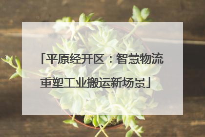 平原经开区：智慧物流重塑工业搬运新场景