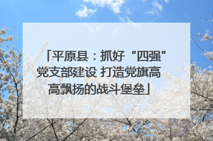 平原县：抓好“四强”党支部建设 打造党旗高高飘扬的战斗堡垒
