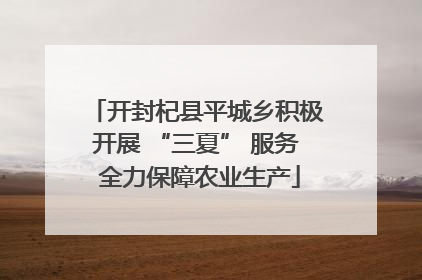 开封杞县平城乡积极开展 “三夏” 服务 全力保障农业生产