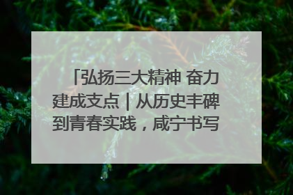 弘扬三大精神 奋力建成支点｜从历史丰碑到青春实践，咸宁书写精神传承新篇章