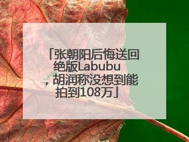 张朝阳后悔送回绝版Labubu，胡润称没想到能拍到108万