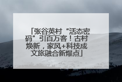 张谷英村“活态密码”引百万客！古村焕新，家风+科技成文旅融合新爆点