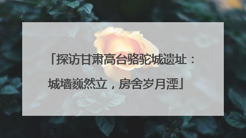 探访甘肃高台骆驼城遗址：城墙巍然立，房舍岁月湮