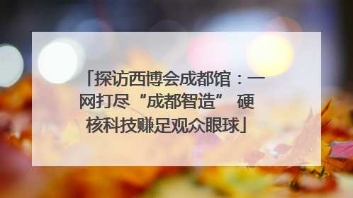 探访西博会成都馆：一网打尽“成都智造” 硬核科技赚足观众眼球