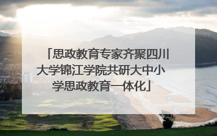 思政教育专家齐聚四川大学锦江学院共研大中小学思政教育一体化