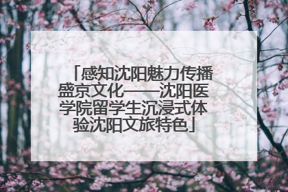 感知沈阳魅力传播盛京文化——沈阳医学院留学生沉浸式体验沈阳文旅特色