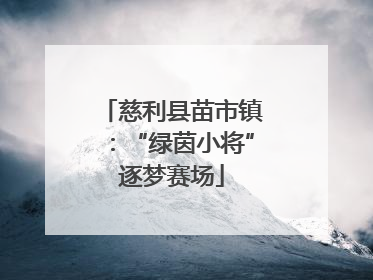 慈利县苗市镇：“绿茵小将”逐梦赛场