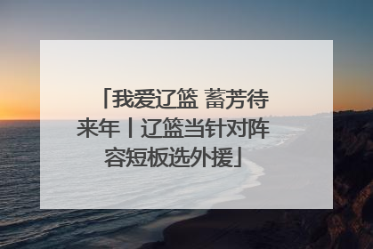 我爱辽篮 蓄芳待来年丨辽篮当针对阵容短板选外援