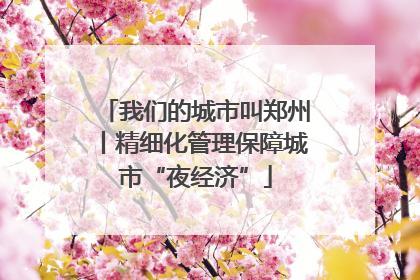 我们的城市叫郑州丨精细化管理保障城市“夜经济”